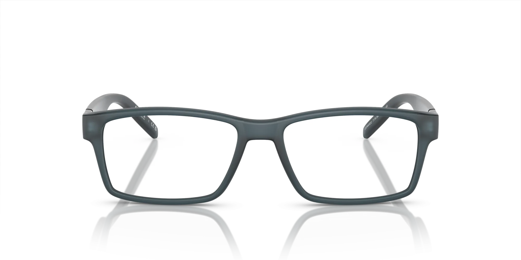 Arnette Leonardo AN7179 2658