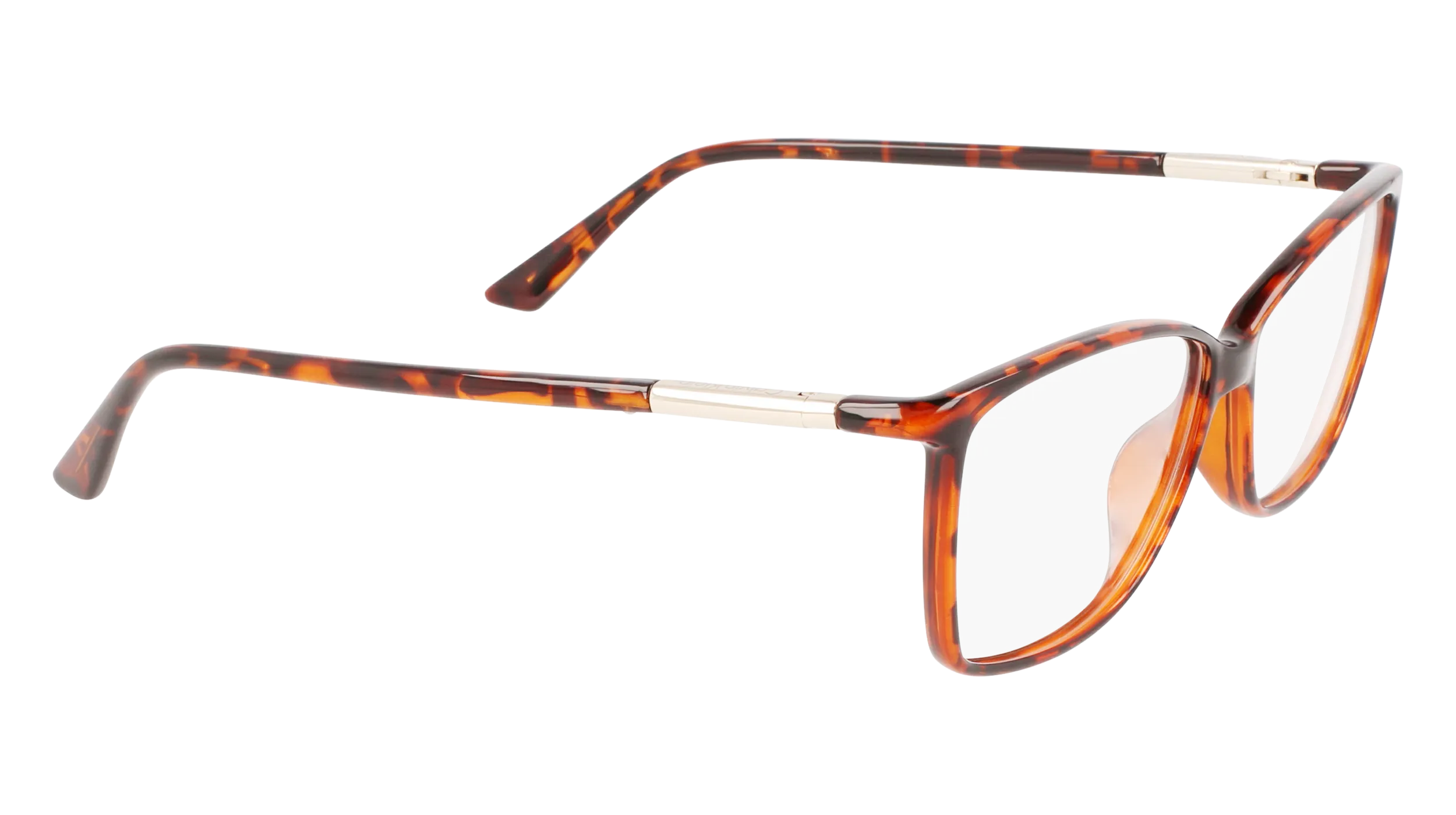 Calvin Klein CK21524 220