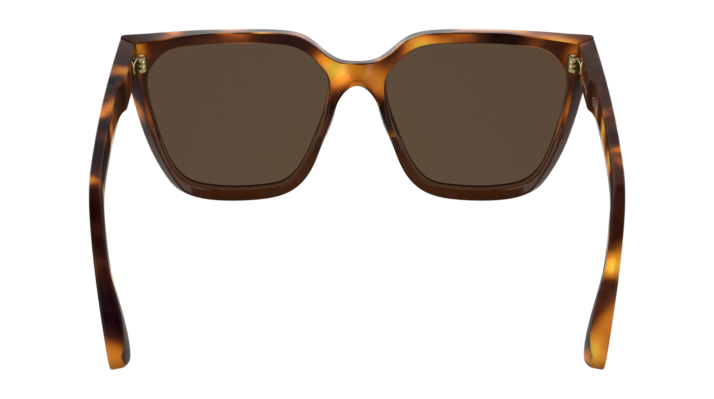 Calvin Klein CK25500S 238