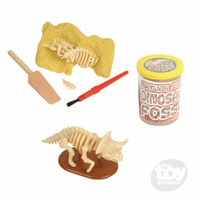 Dinosaur Nature Sand Fossil Kit