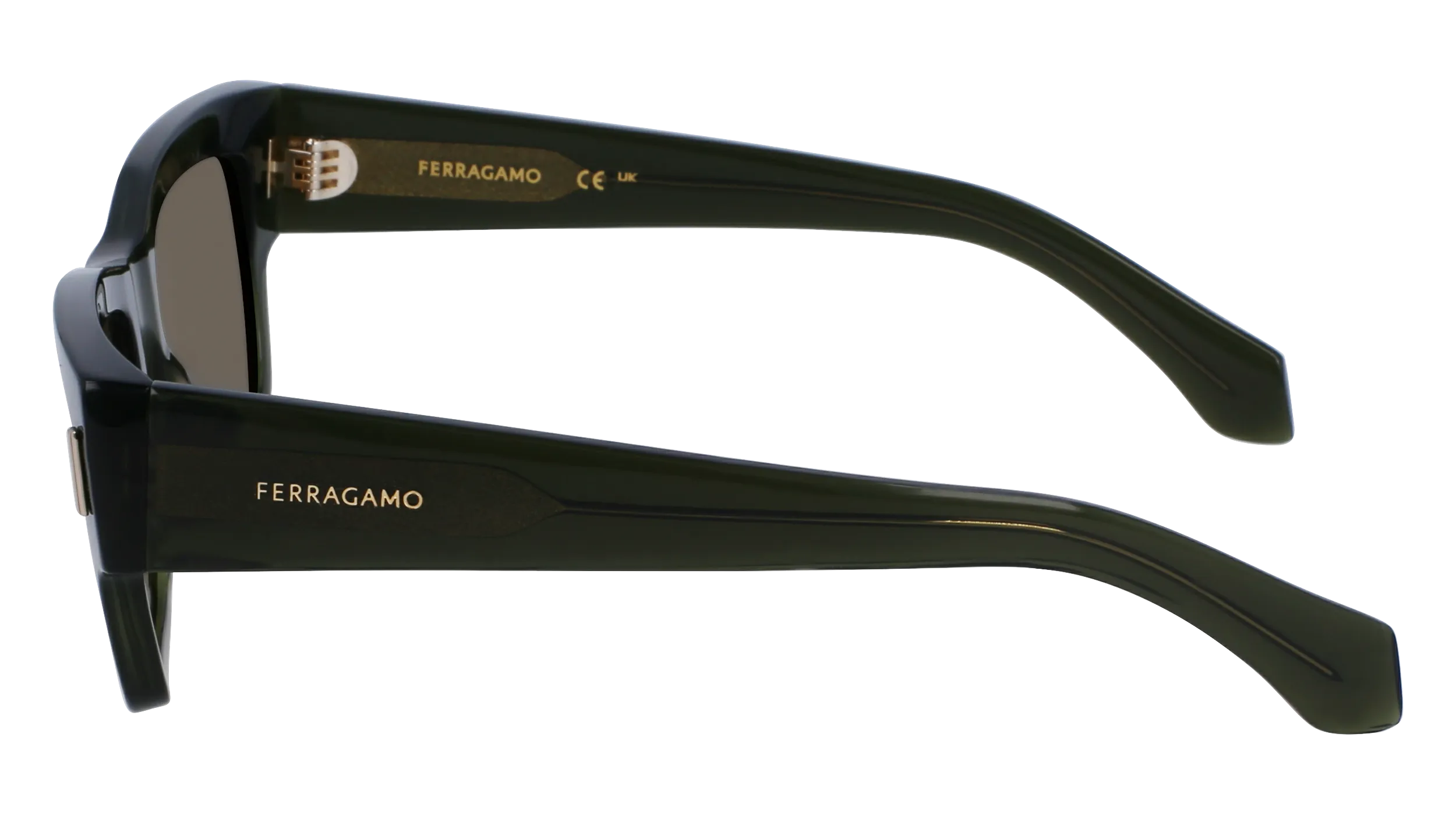 Ferragamo SF2011S 320