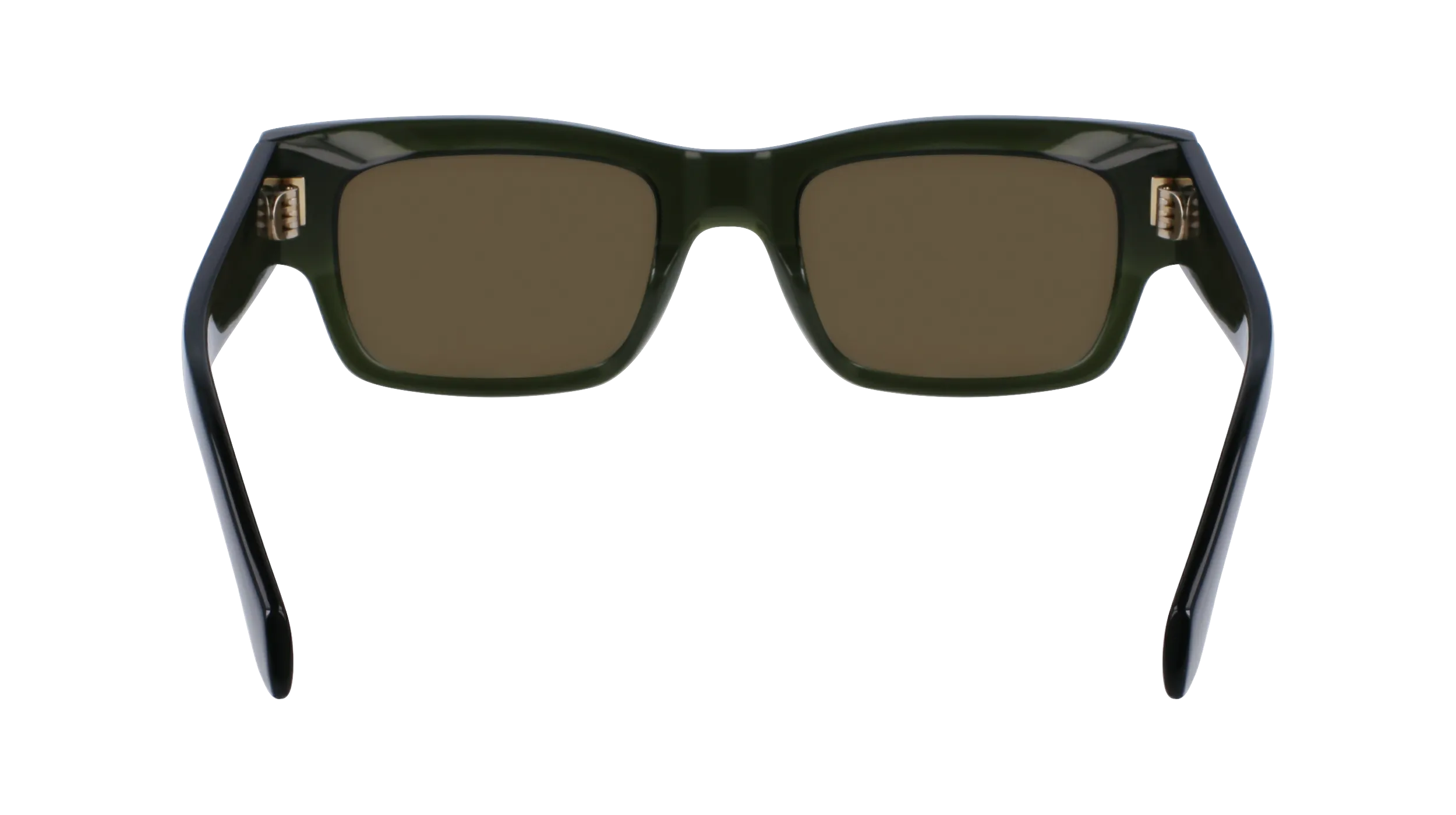 Ferragamo SF2011S 320