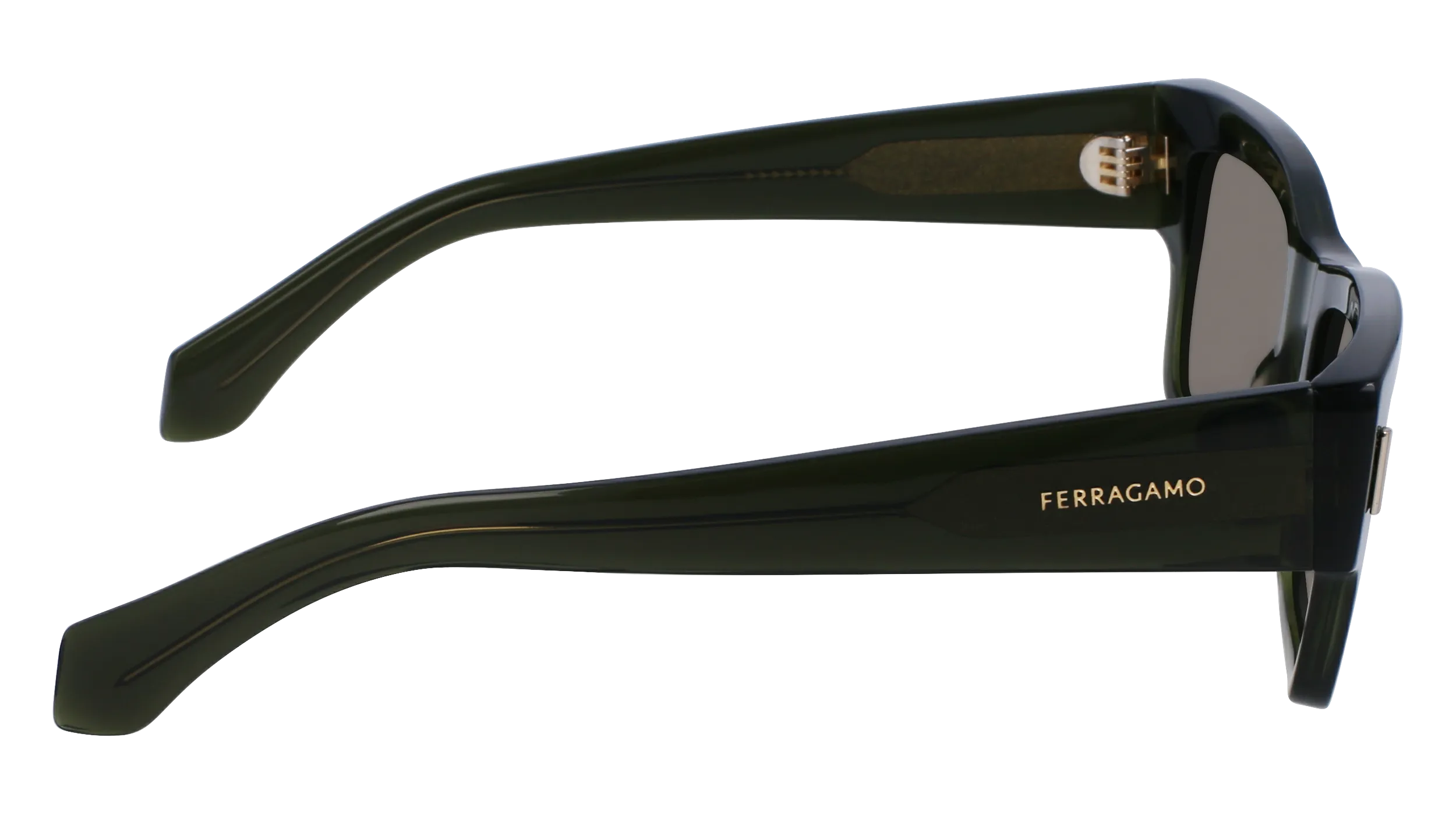 Ferragamo SF2011S 320