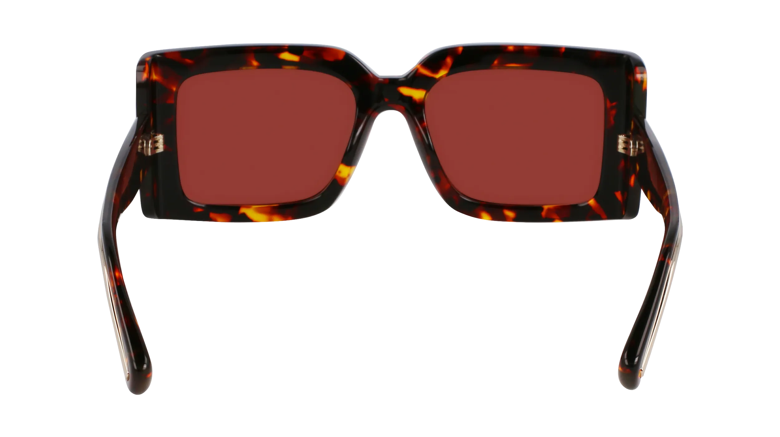 Ferragamo SF2032S 242