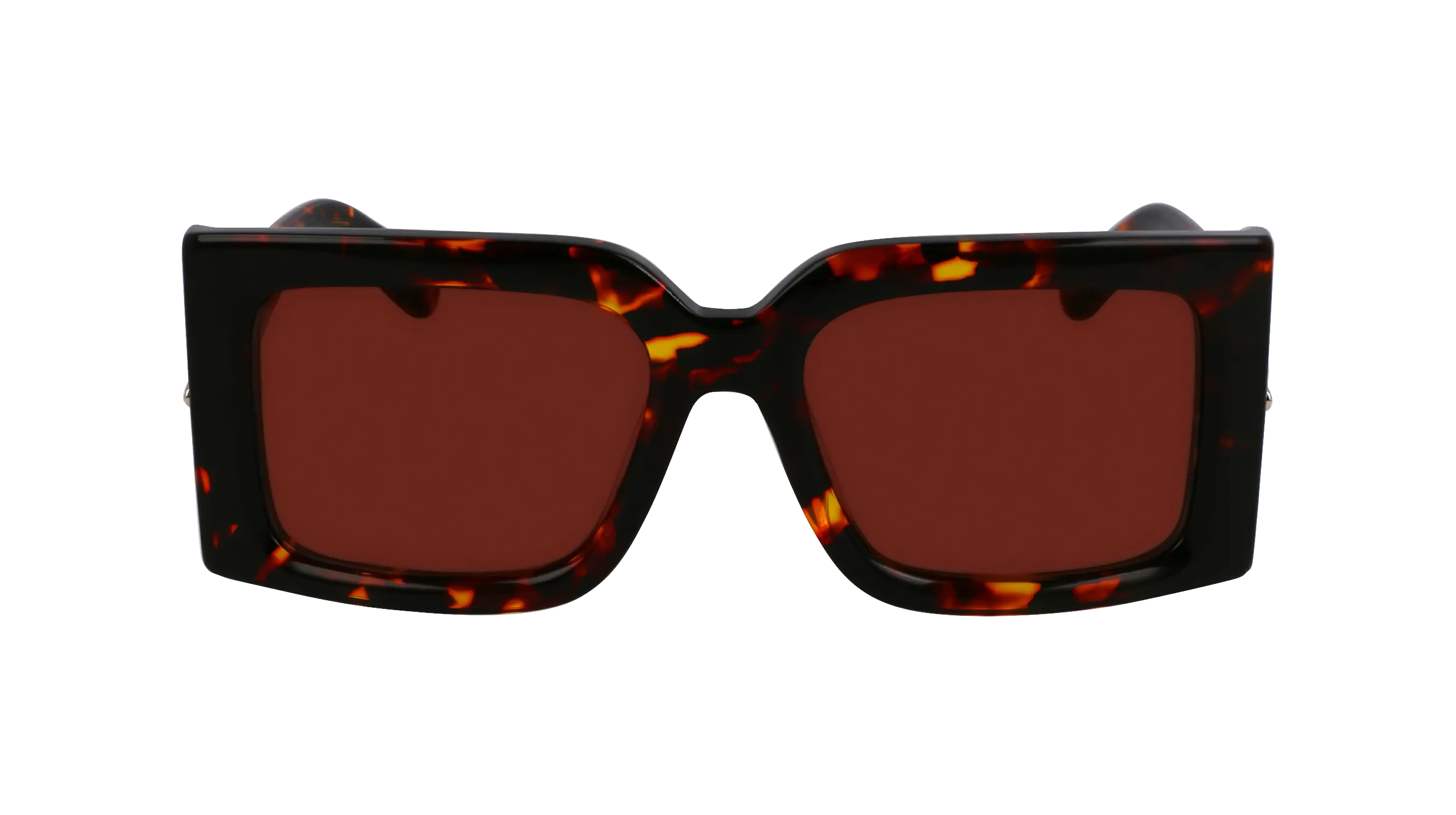 Ferragamo SF2032S 242