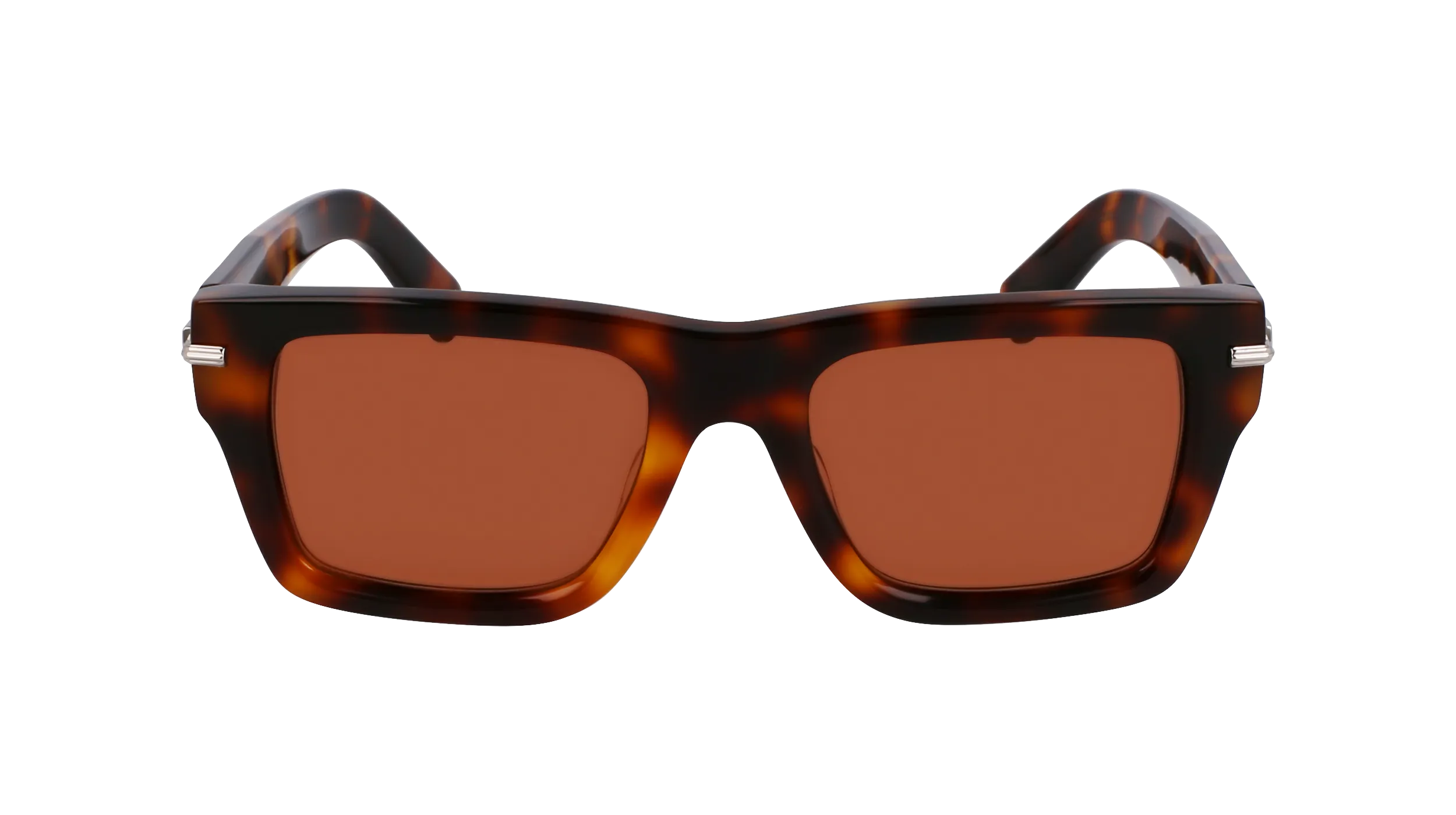 Ferragamo SF2033S 240