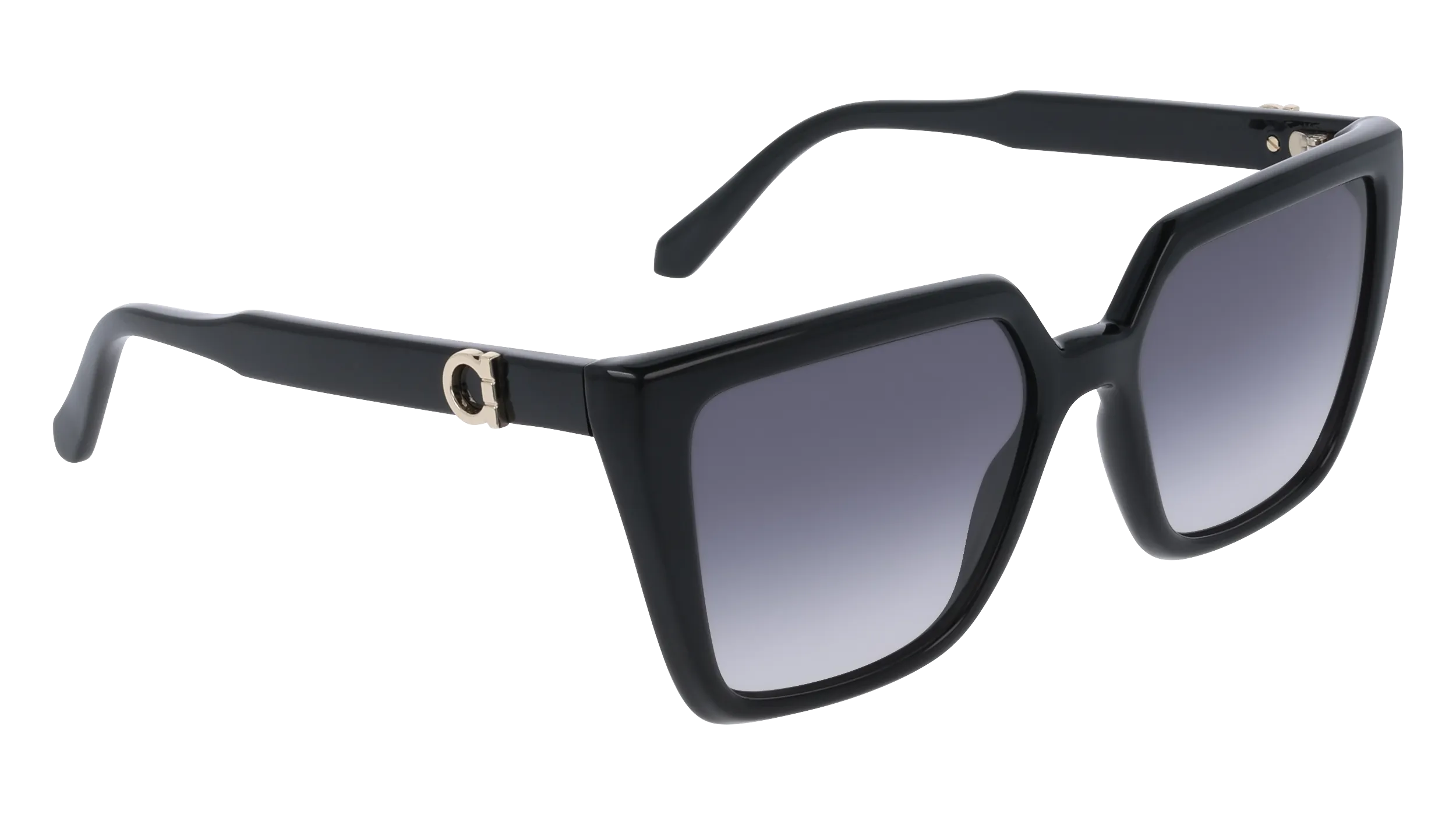 Ferragamo SF2058SE 1