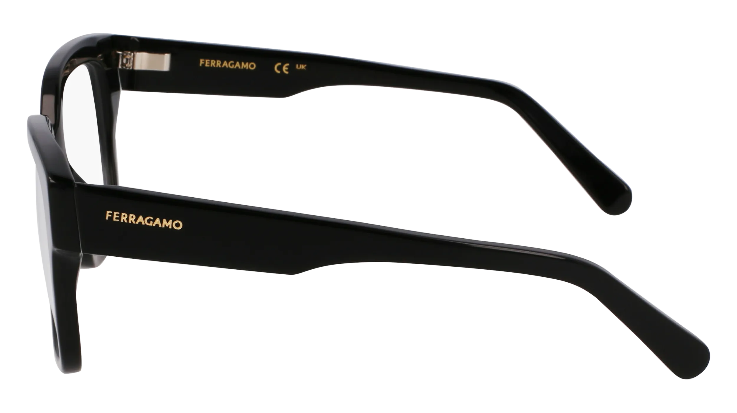Ferragamo SF2952N 1