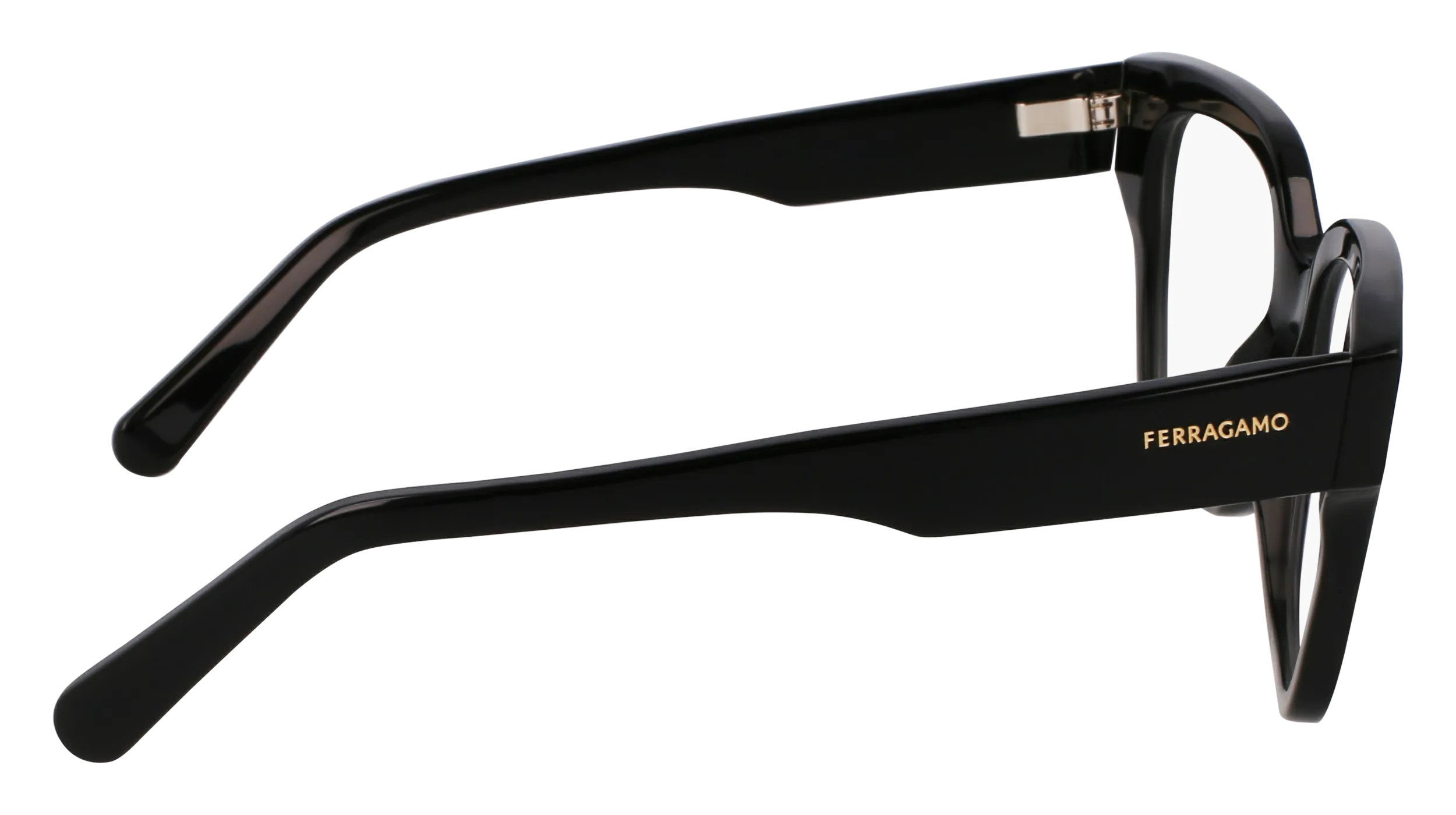 Ferragamo SF2952N 1