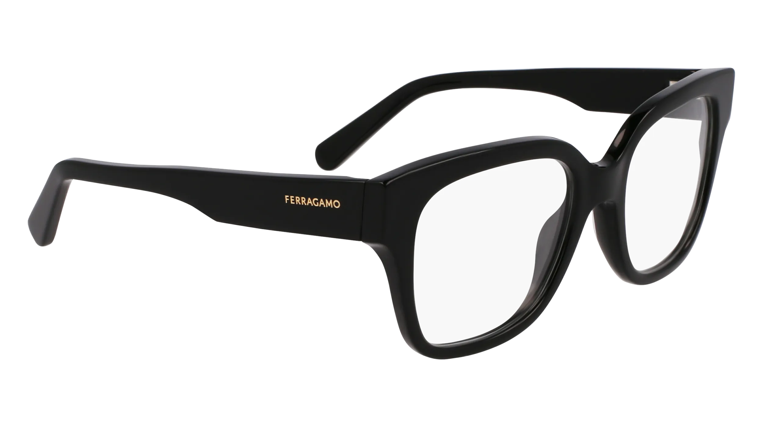 Ferragamo SF2952N 1