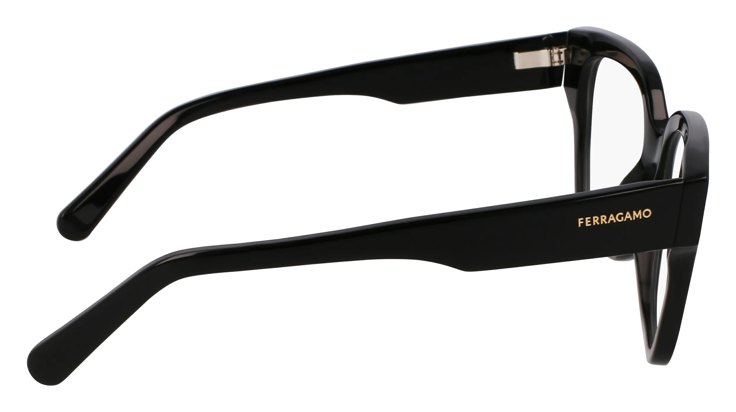 Ferragamo SF2952N 1