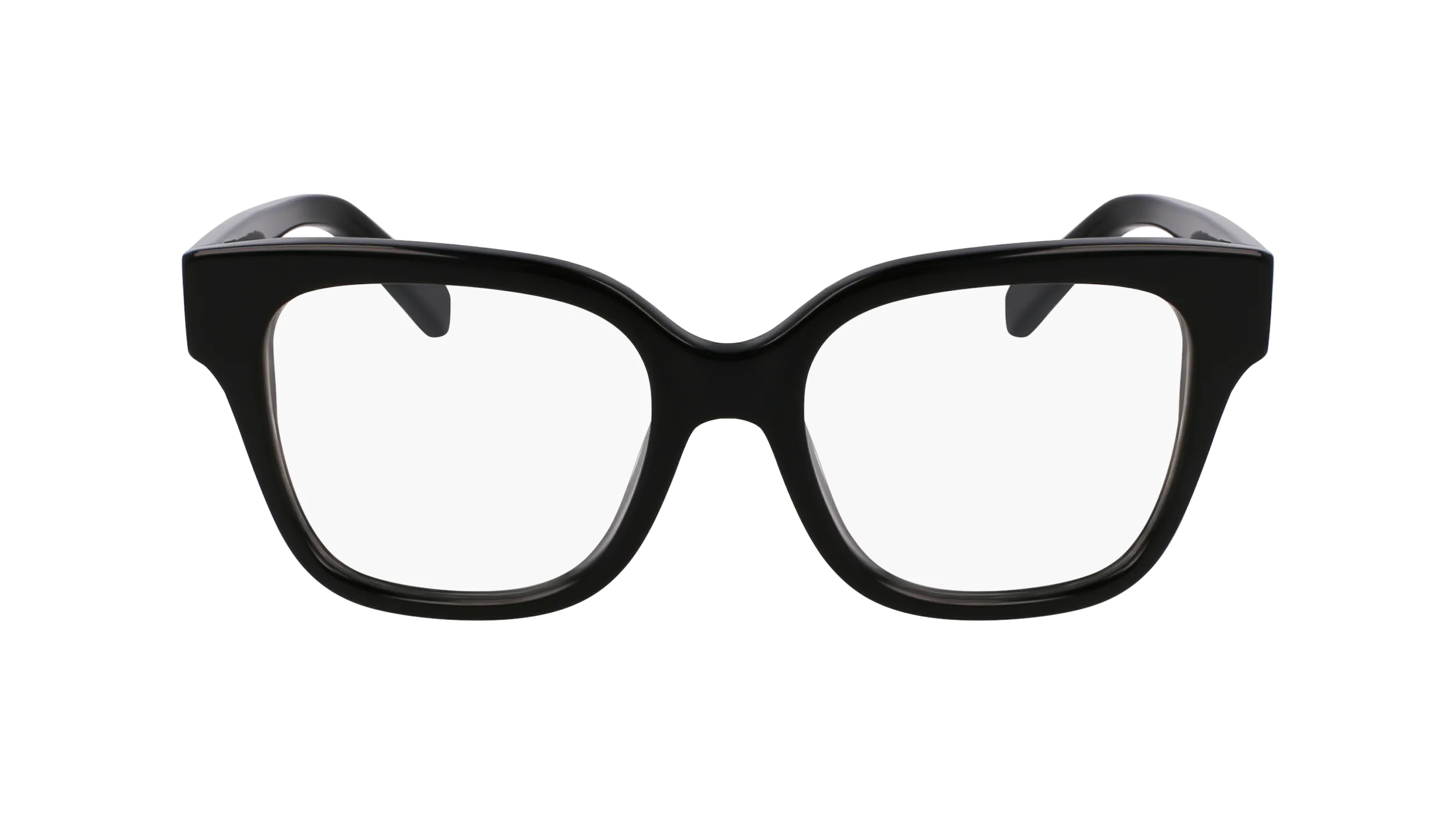 Ferragamo SF2952N 1