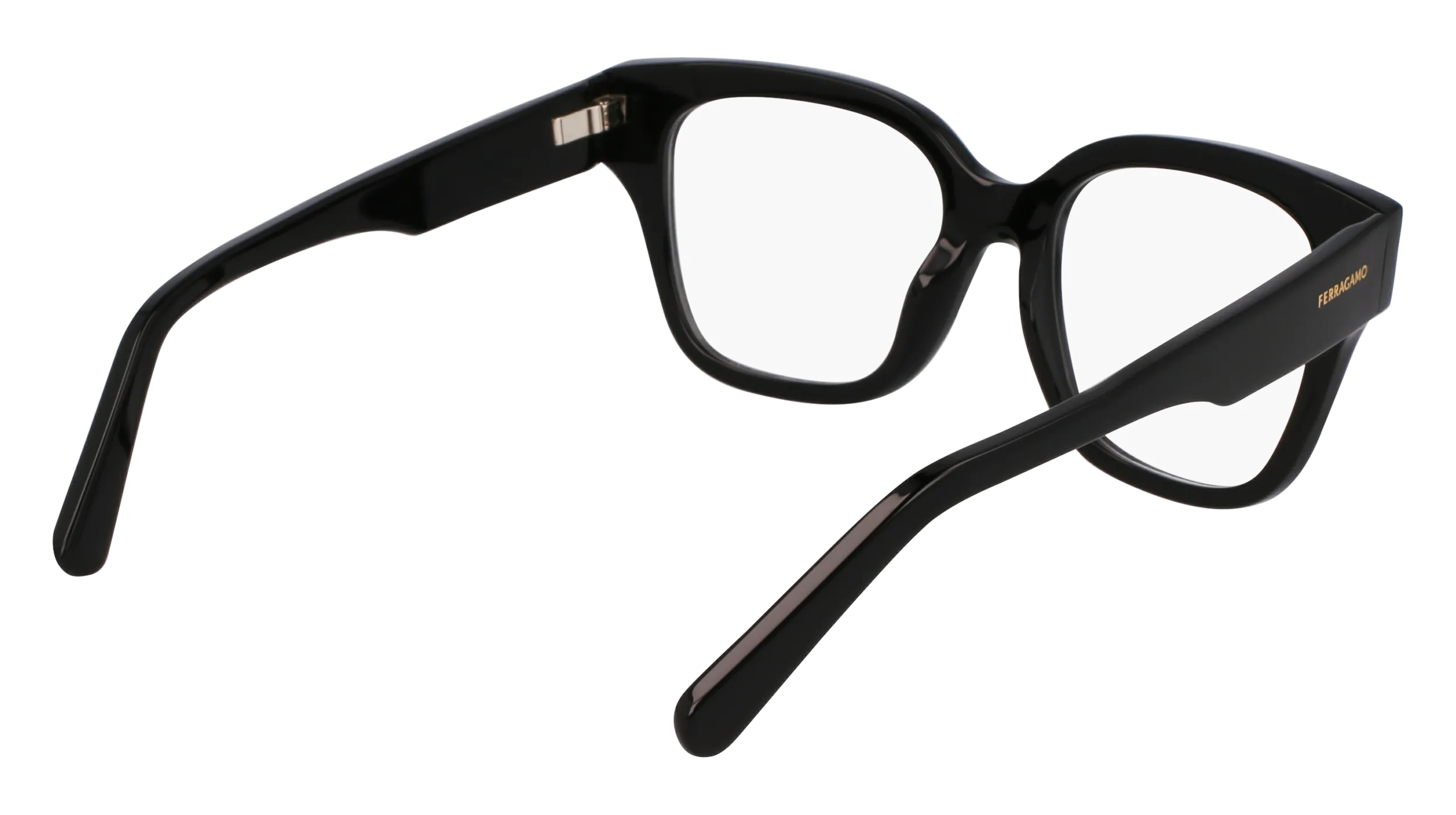 Ferragamo SF2952N 1