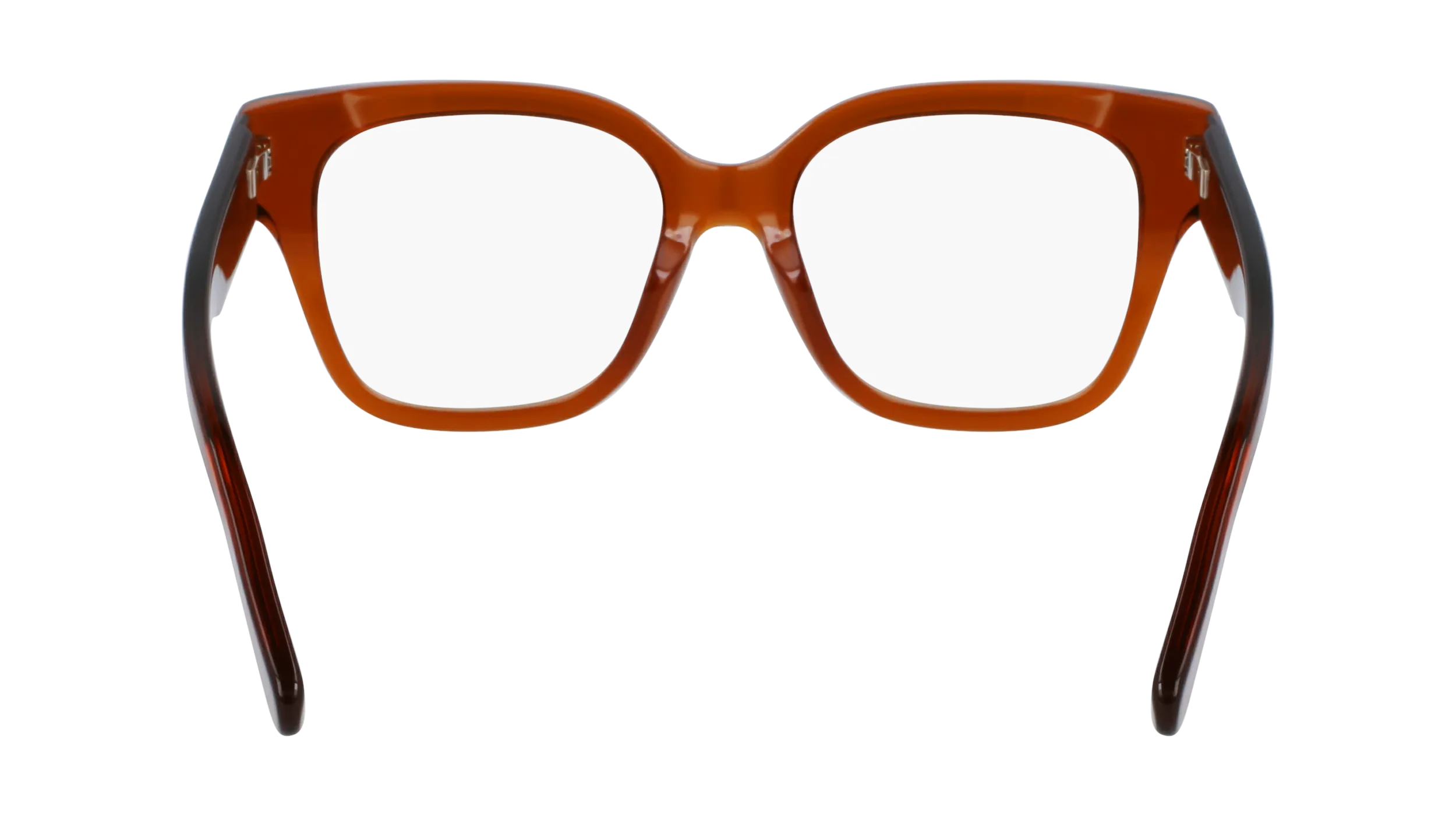Ferragamo SF2952N 261