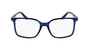 Ferragamo SF2954 420