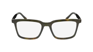 Ferragamo SF2969 242