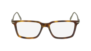Ferragamo SF2977 240