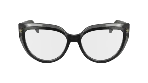 Ferragamo SF2984 24