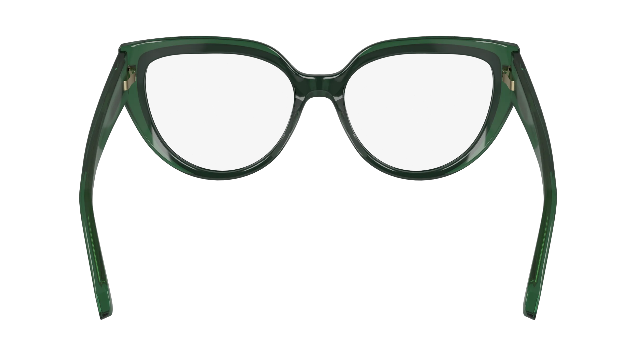 Ferragamo SF2984 318
