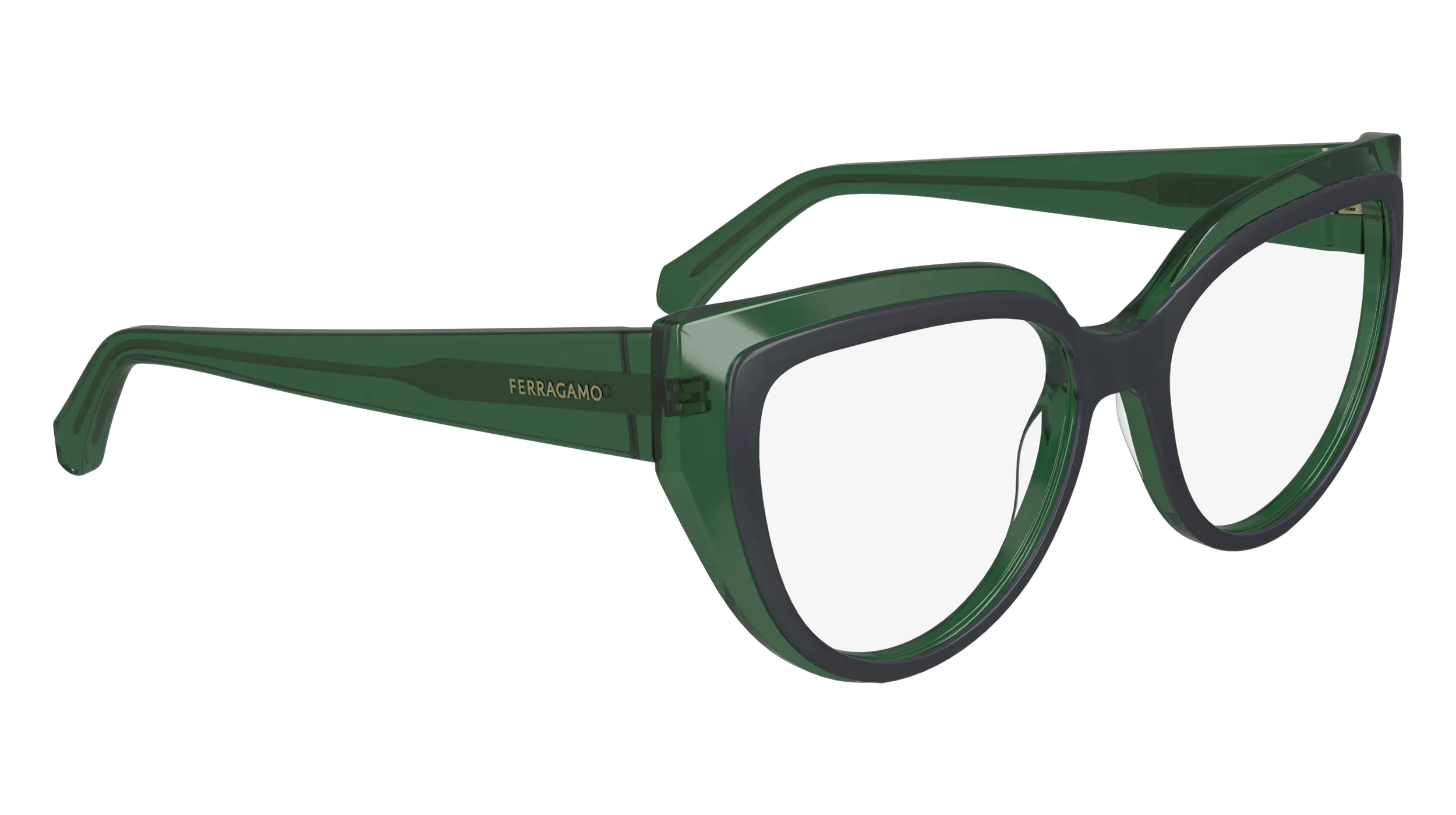 Ferragamo SF2984 318