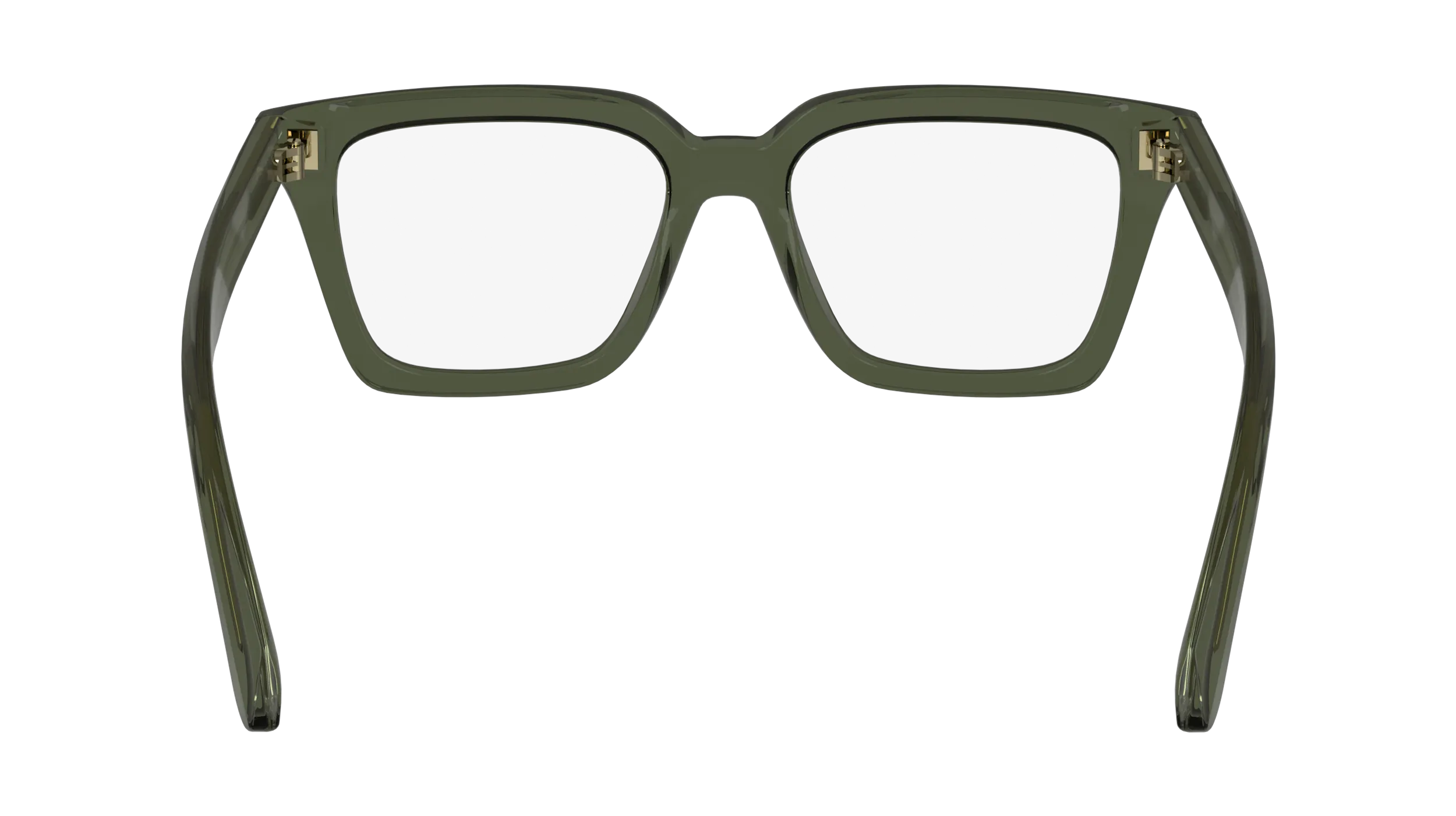 Ferragamo SF2985 320