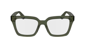 Ferragamo SF2985 320