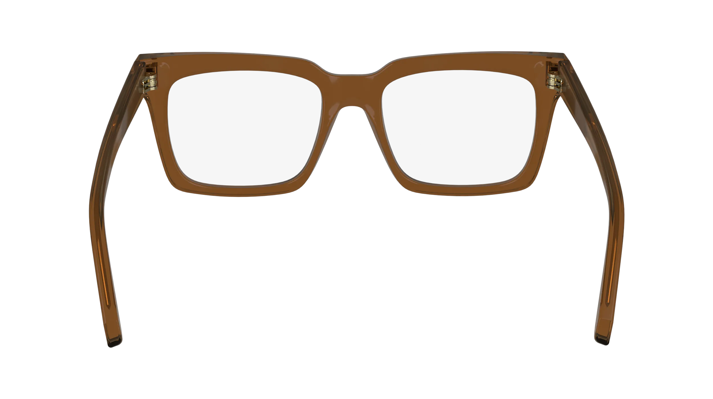 Ferragamo SF2993 232