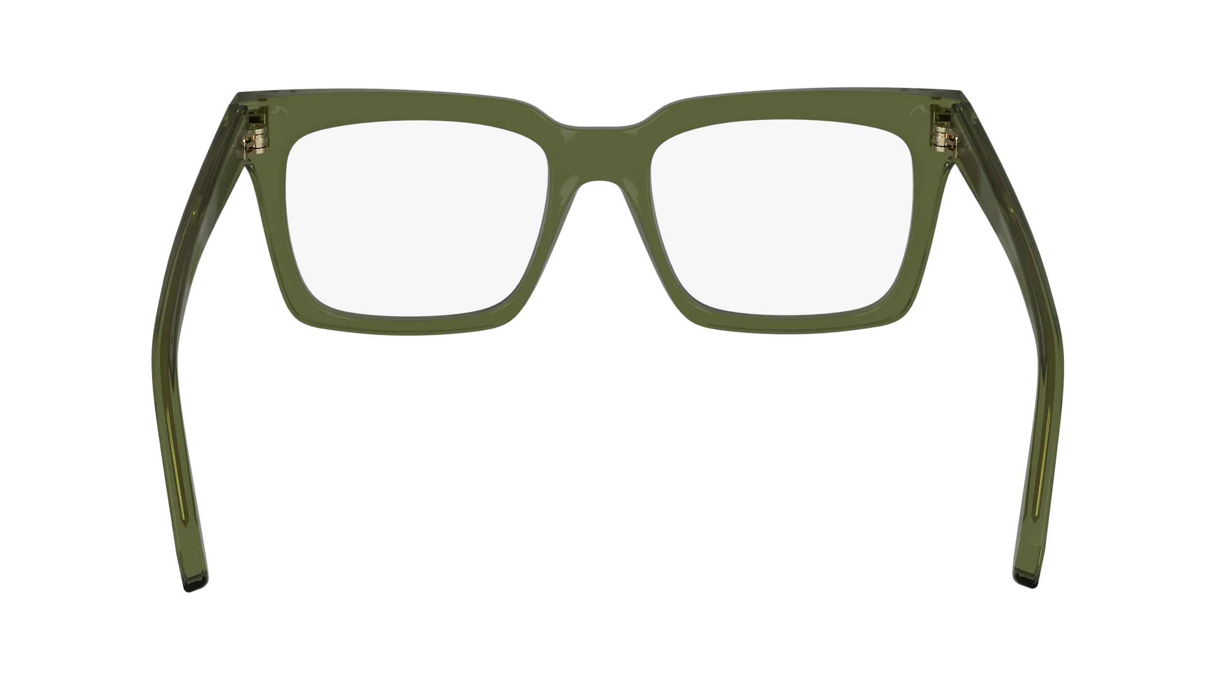 Ferragamo SF2993 320