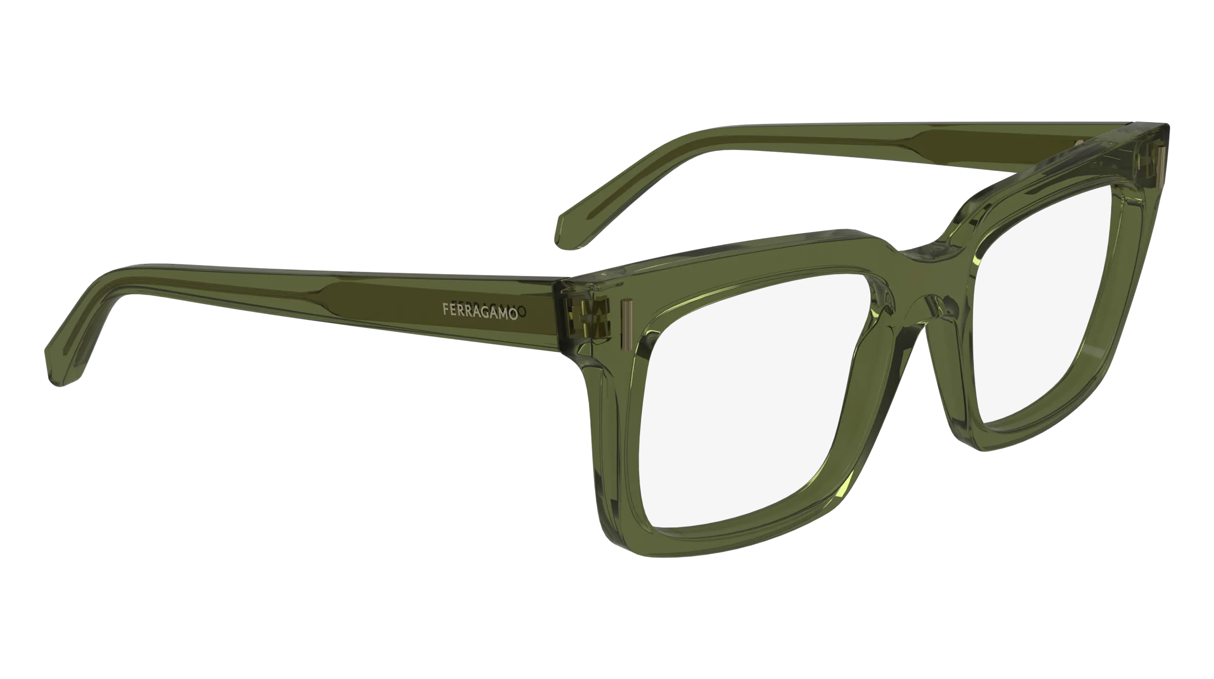 Ferragamo SF2993 320