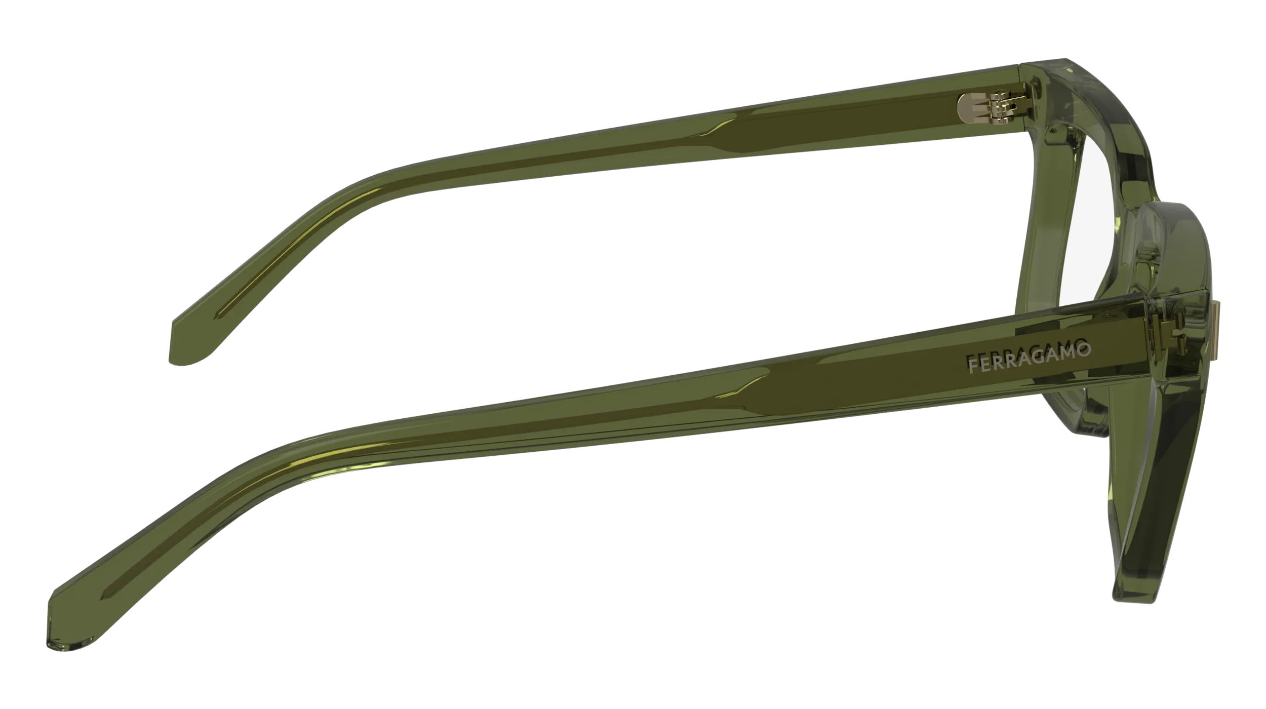 Ferragamo SF2993 320