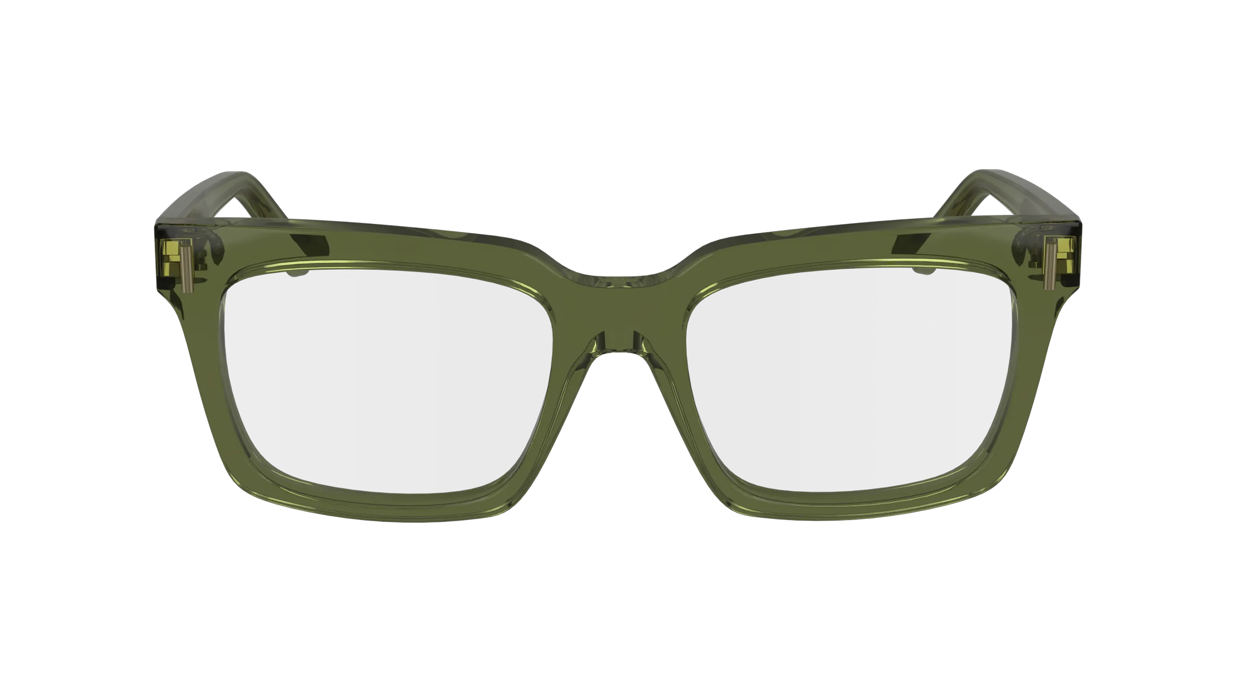 Ferragamo SF2993 320