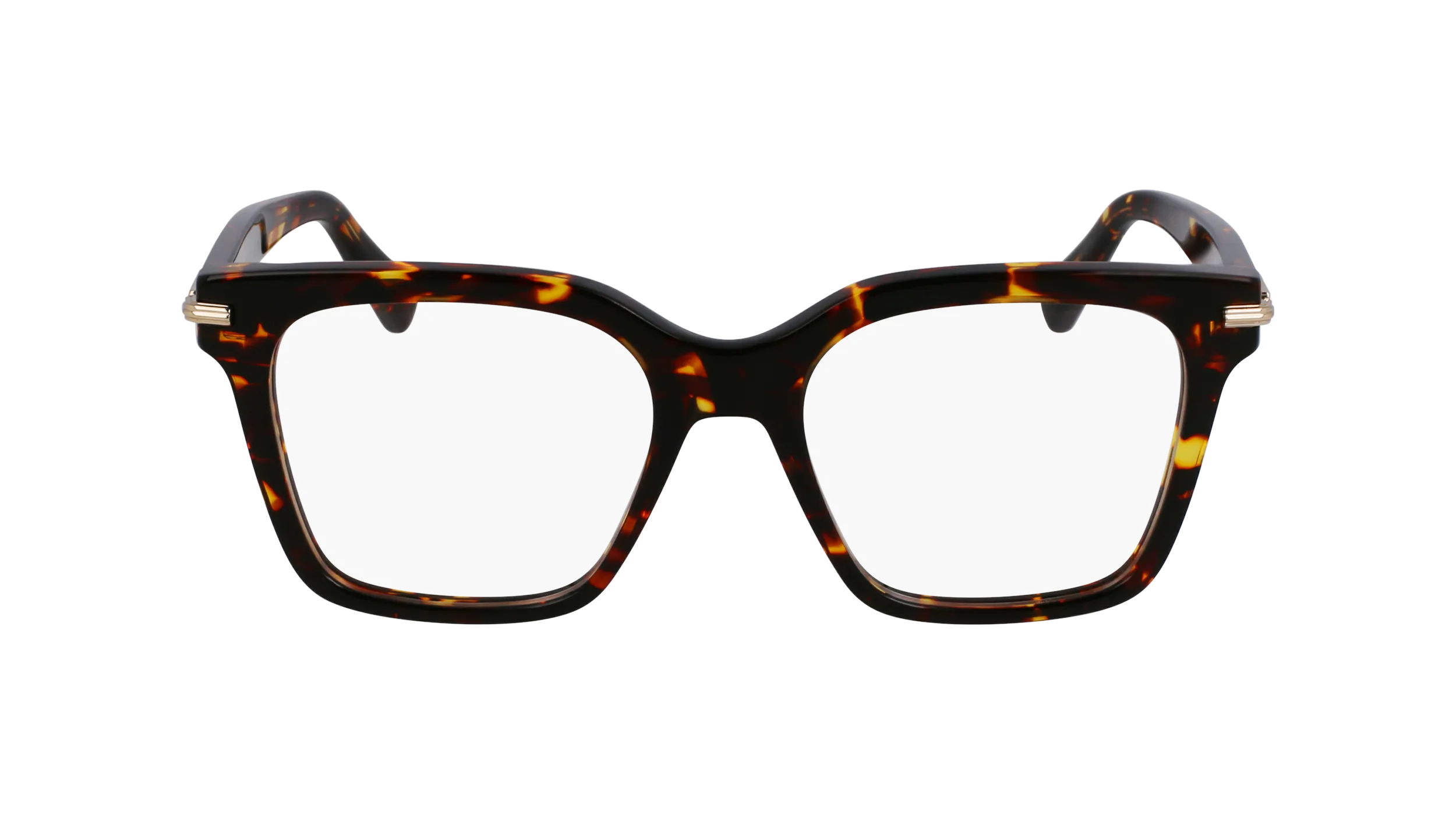 Ferragamo SF3009 242