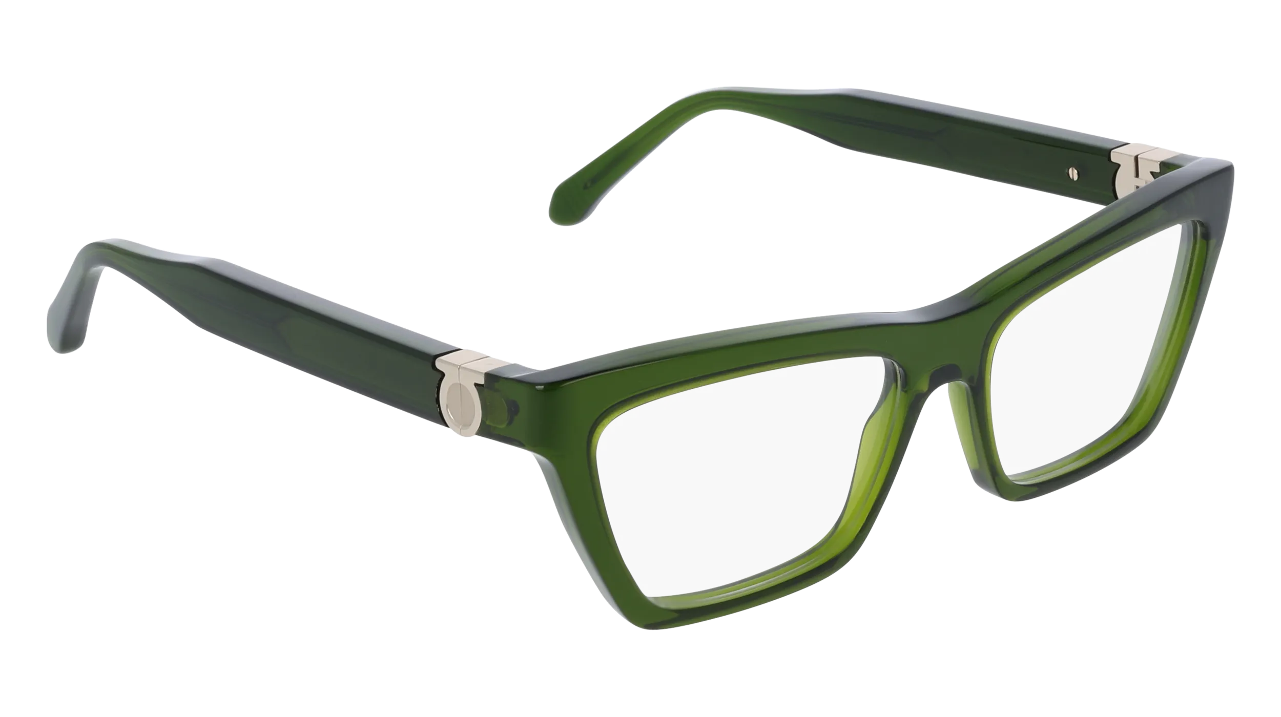 Ferragamo SF3021 317