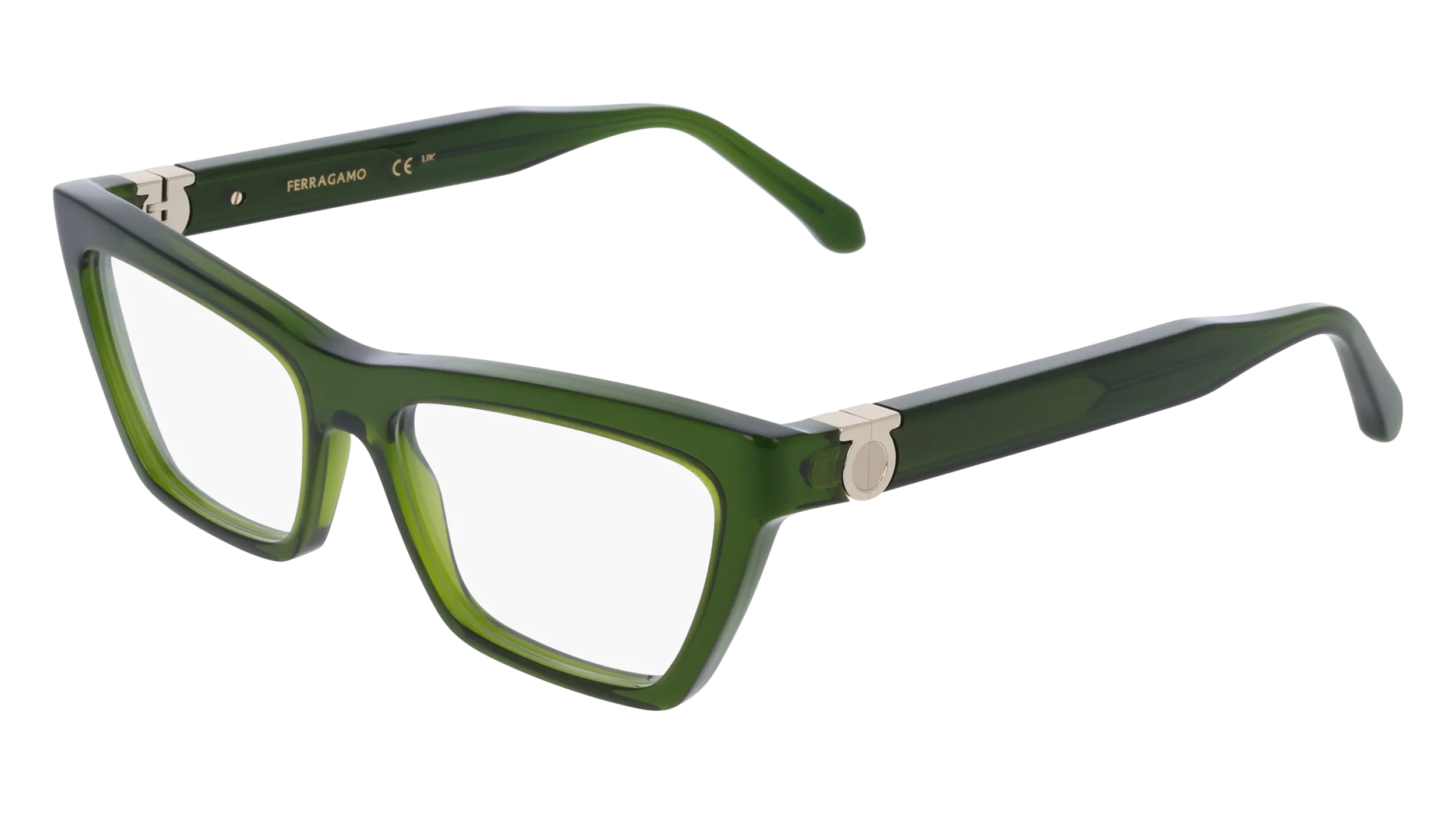 Ferragamo SF3021 317