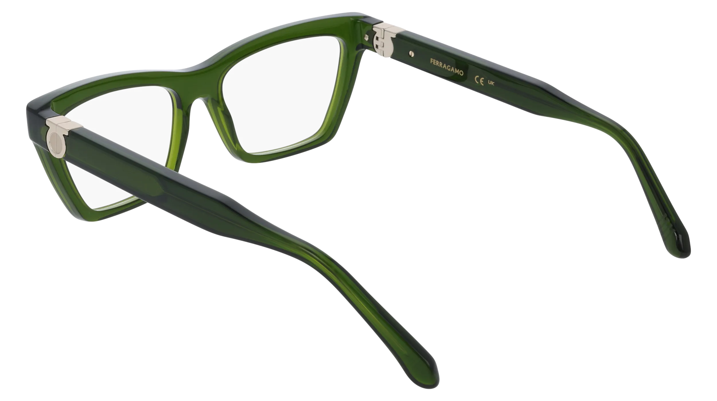 Ferragamo SF3021 317