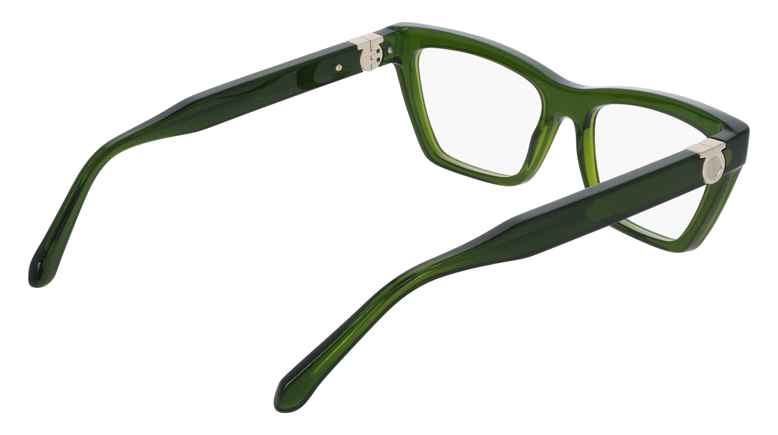 Ferragamo SF3021 317