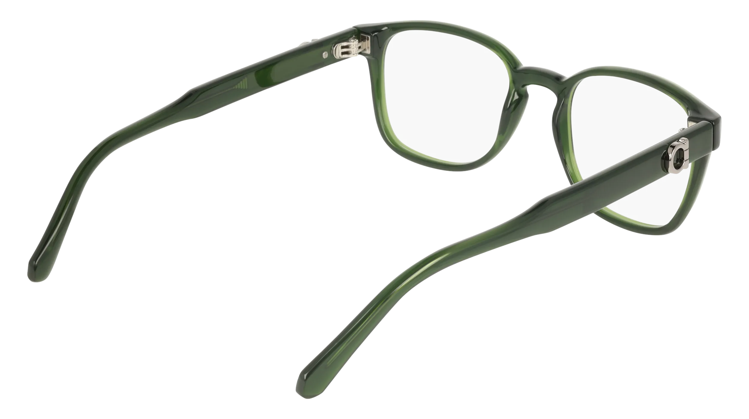 Ferragamo SF3027E 317