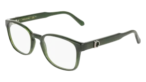 Ferragamo SF3027E 317