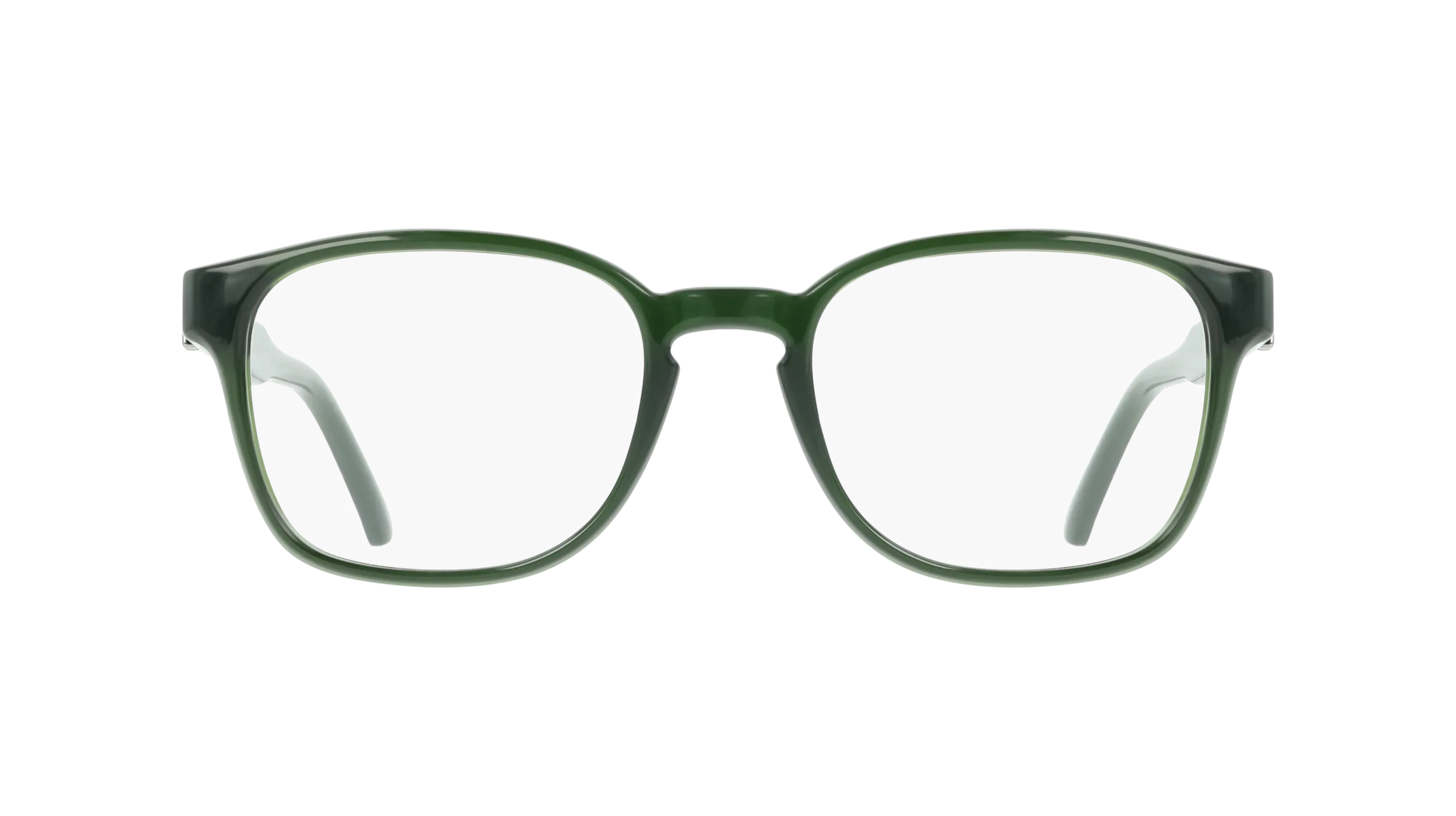 Ferragamo SF3027E 317