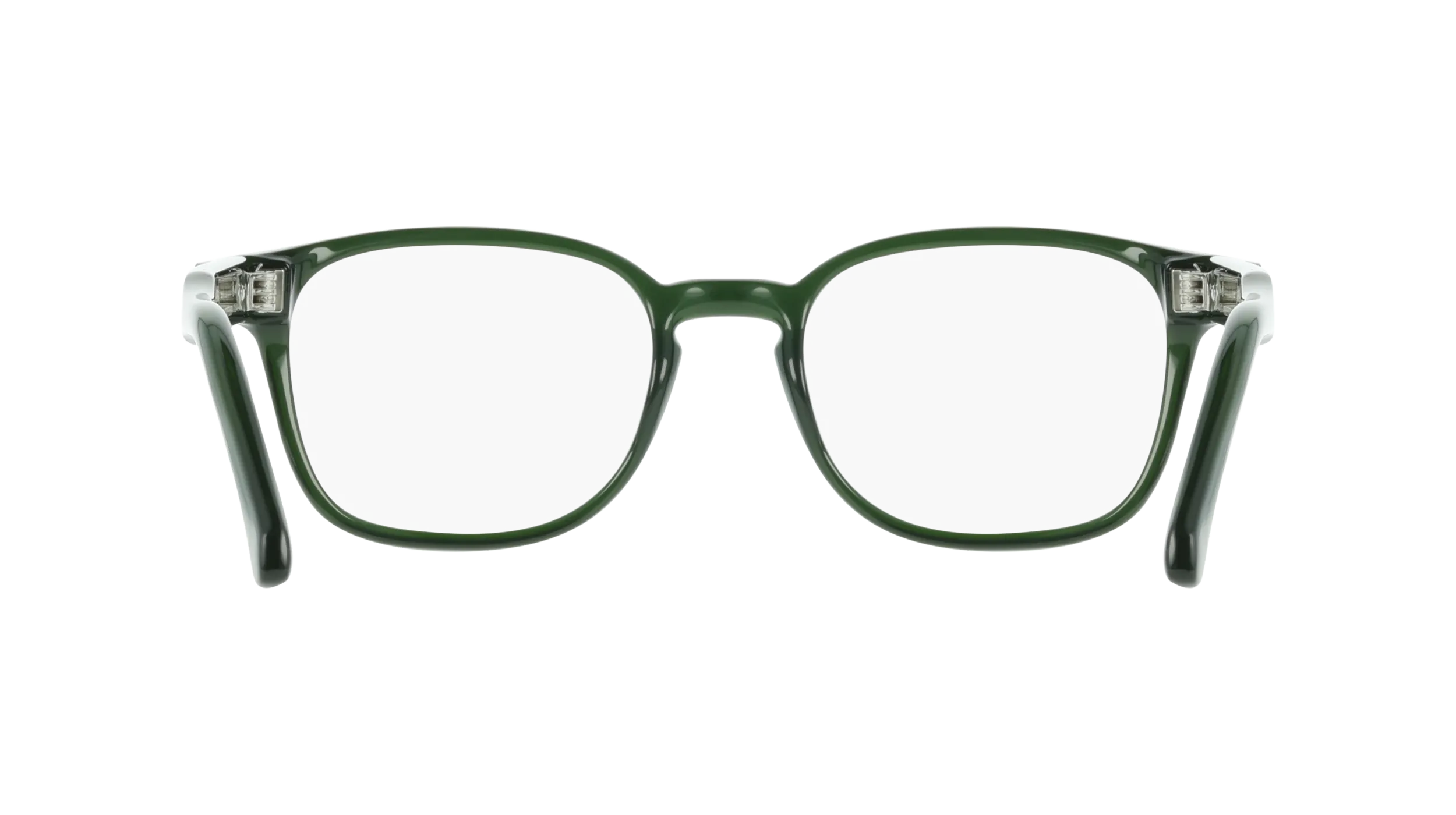 Ferragamo SF3027E 317