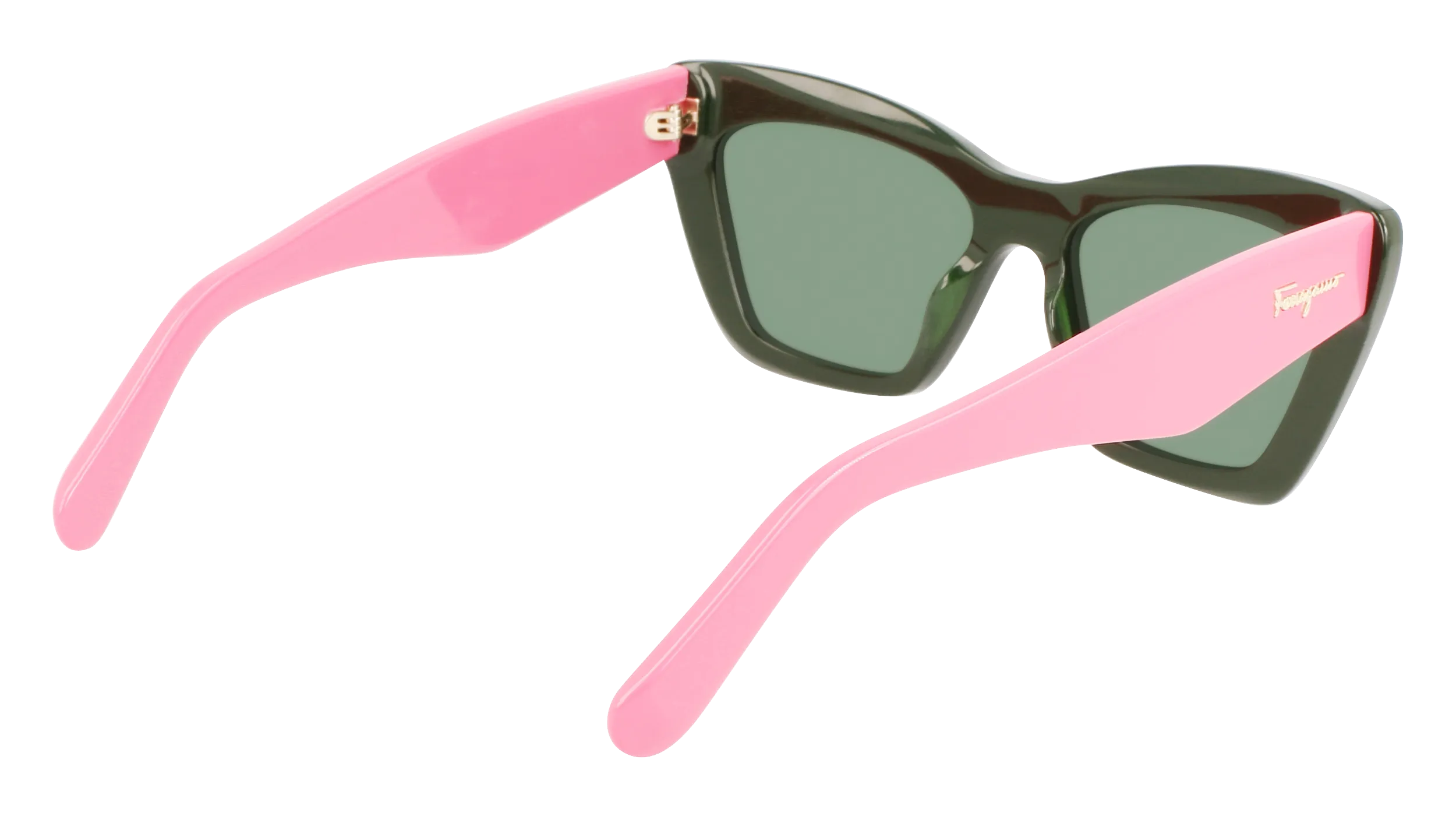 Ferragamo SF929S 304