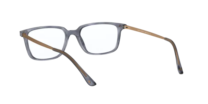 Giorgio Armani AR7183 5567