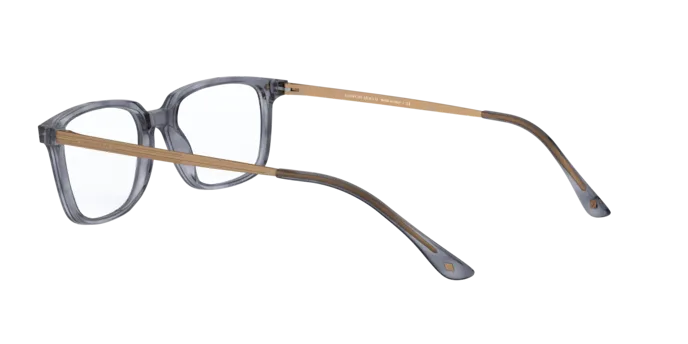 Giorgio Armani AR7183 5567