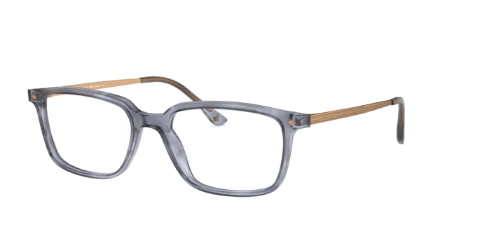 Giorgio Armani AR7183 5567