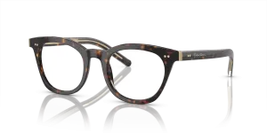 Giorgio Armani AR7251 5879