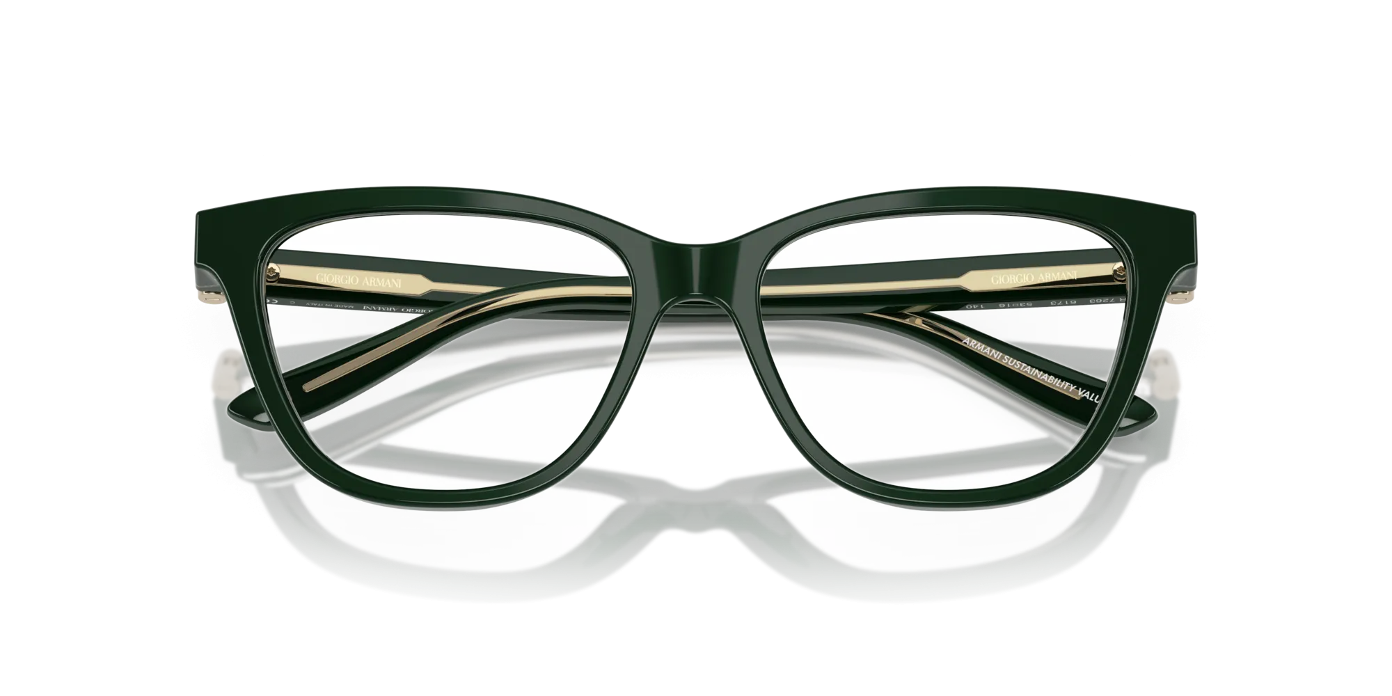 Giorgio Armani AR7263 6173