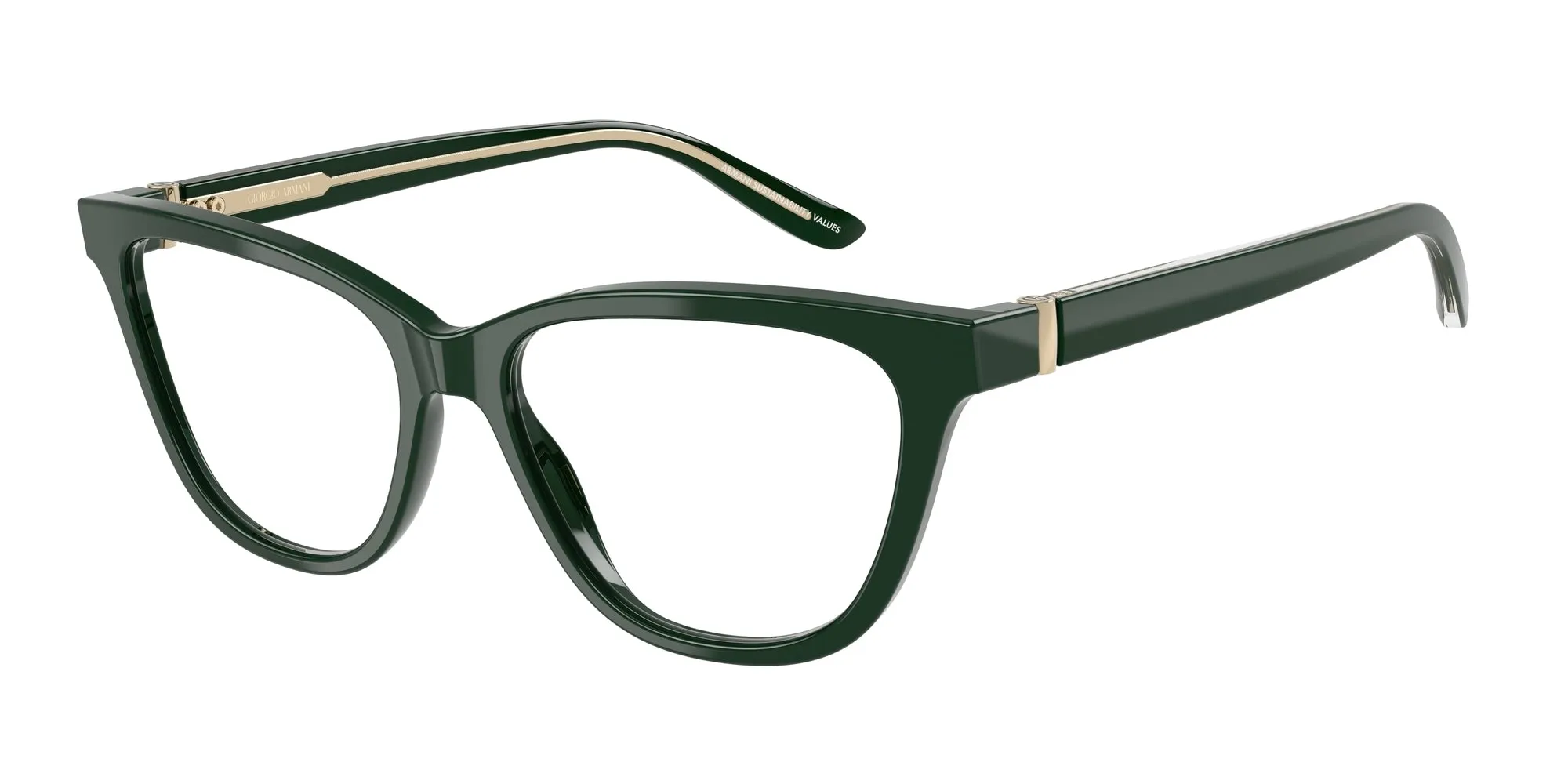 Giorgio Armani AR7263 6173