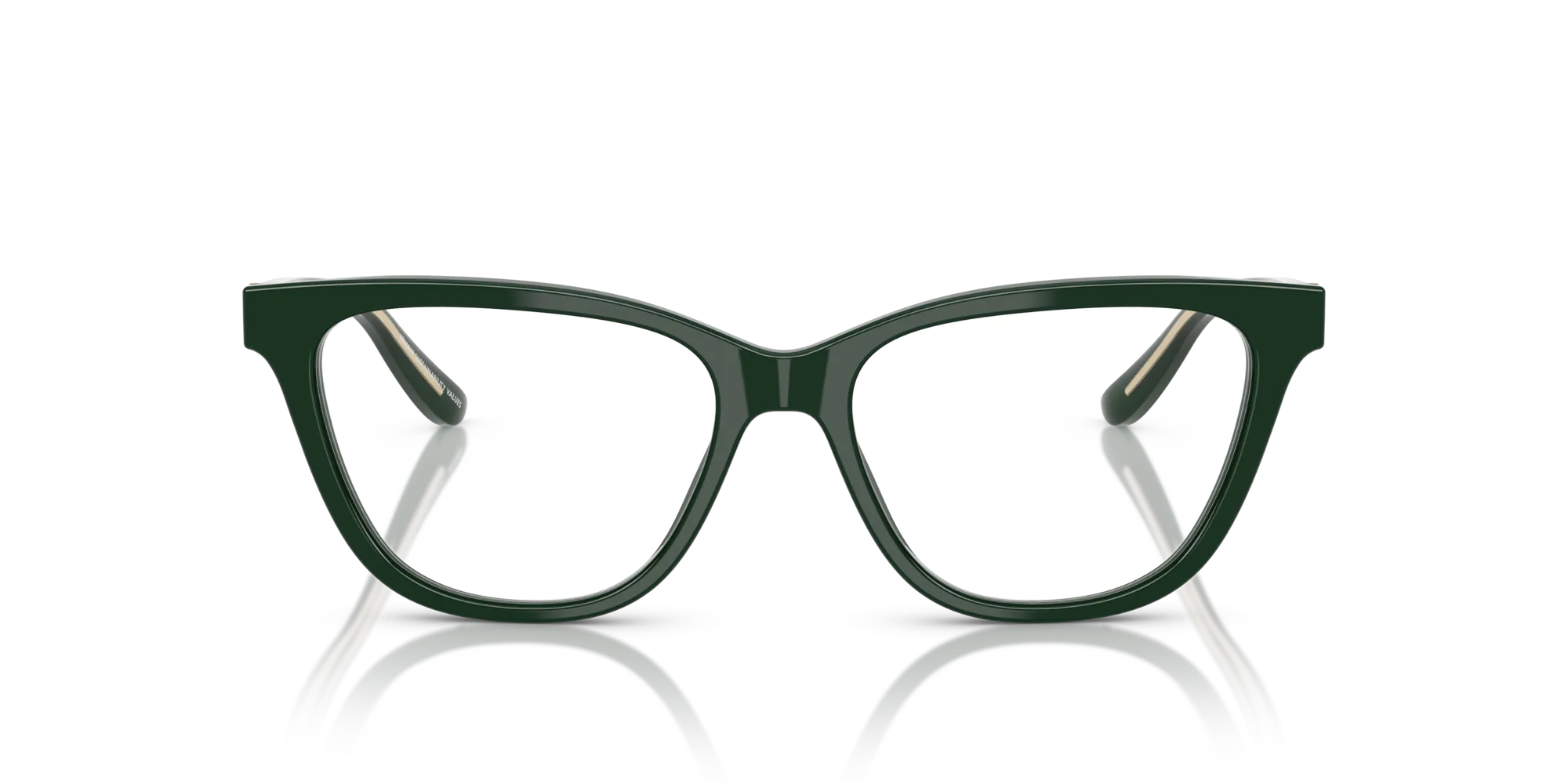 Giorgio Armani AR7263 6173