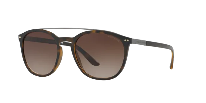 Giorgio Armani AR8088 508913