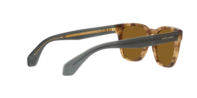 Giorgio Armani AR8155 594233